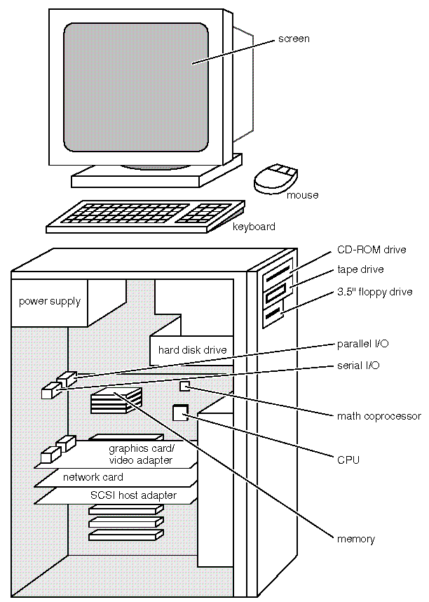 Computer Basics: Hardware 